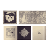 THE BIRD OF A THOUSAND VOICES