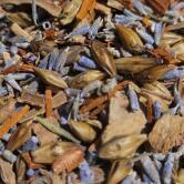 ESSENCE AND ELEMENTS - BOX