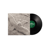 Vinyle