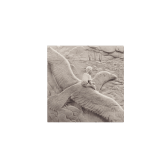 L'ENVIE FOLLE - VINYLE